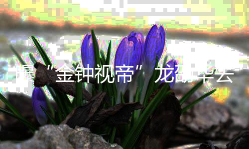 代表龙 龙去世资料作品曝个人金钟视帝劭华劭华